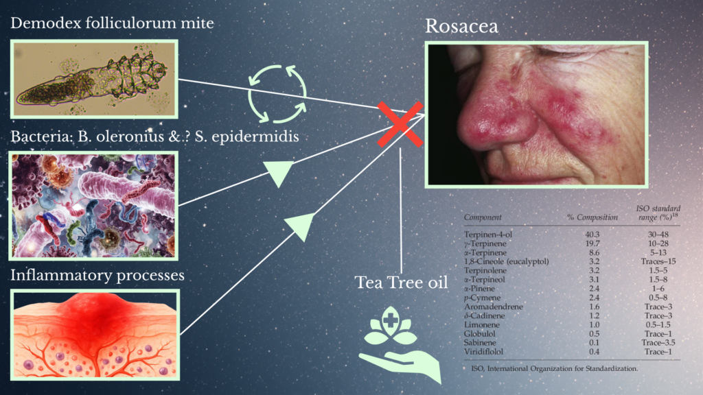 Shows Demodex mite, B. oleronius and S. epidermidis bacteria, and inflammatory processes leading to the facial papules and pustules of rosacea. All of which can be blocked by the complex chemical profile of tea tree oil.